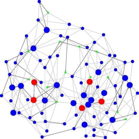 Network Structure Example 的图像结果