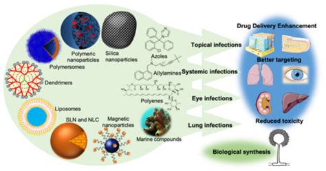 Current Insights on Antifungal Therapy | Encyclopedia MDPI