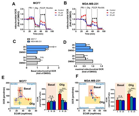 FRI-1 Is an Anti-Cancer Isoquinolinequinone That Inhibits the ...