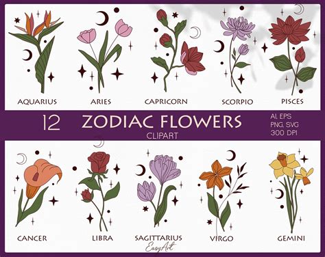 Birth Month Flower SVG, Flower Clipart, Botanical SVG, Zodiac Flower ...
