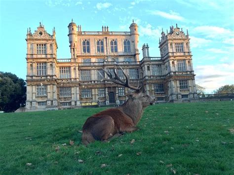 Wollaton Hall and Park (Nottingham) - What to Know Before You Go ...