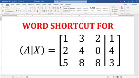By Using Microsoft Word Write Matrix 的图像结果