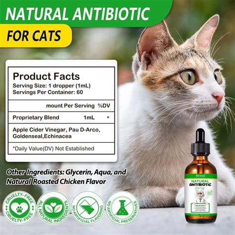 Oimmal 60ml Natural Antibiotics For Cats Antibacterial And Inflammatory Drops Anti Viral Anti ...