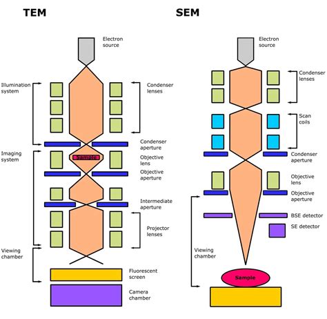 11 Schematic diagram for working principle of SEM | Download Scientific ...
