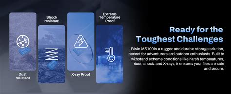 Buy Shop Biwin MS100 256GB Micro SDXC Card MicroSD UHS-I Memory Card at ...