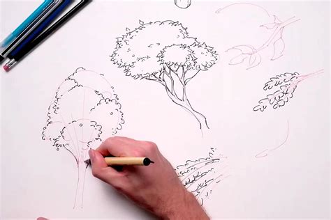 Image result for How to Draw Trees