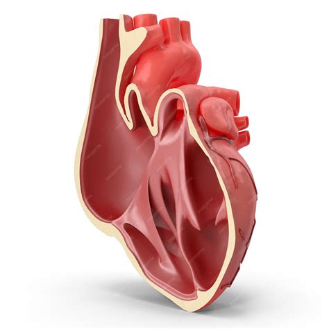 Image result for Heart with Name Using Python