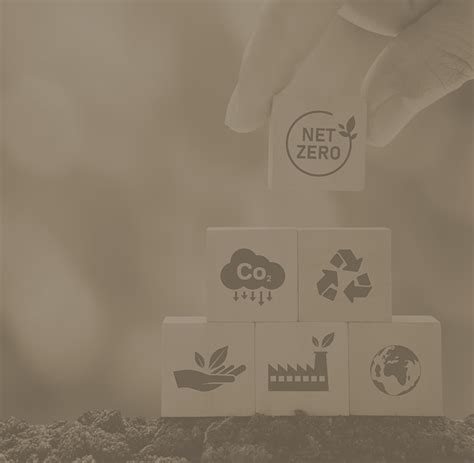 CFlo Investors Section | CFlo