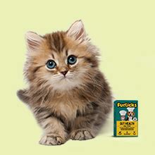 Buy Furlicks Gut Health Supplement for Dogs & Cats | Probiotics ...