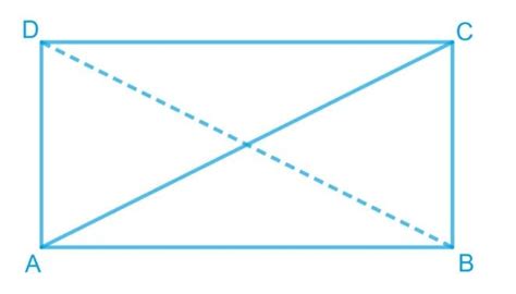 Short and Long Answer Questions Geometric Twins - (Ganita Prakash) Class