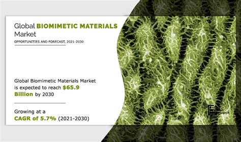 Biomimetic Materials Market Size, Share, Growth | Trends 2030