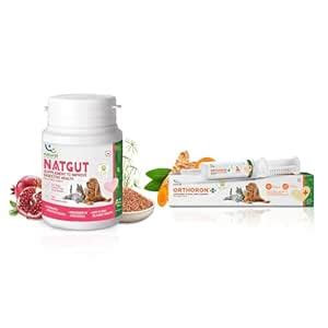 Natural Remedies Combo of Natgut Digestive Health Supplement (20 ...
