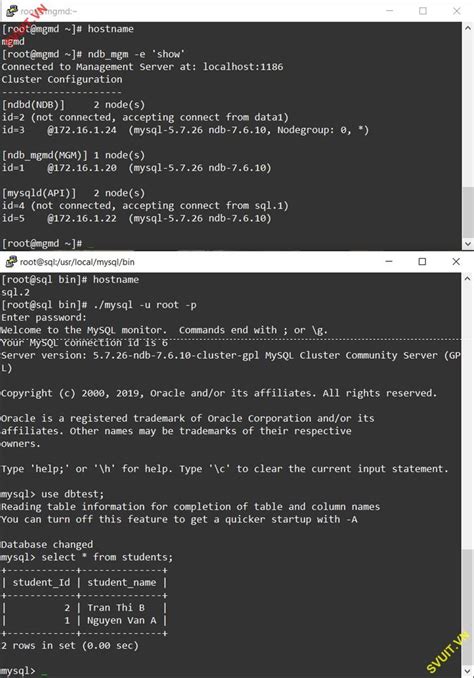 NDB MySQL 的图像结果