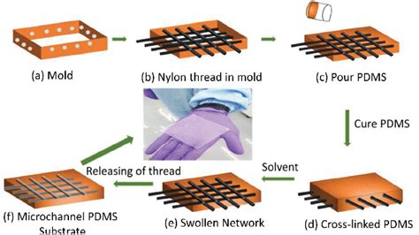 Prof. Satinder Kumar Sharma