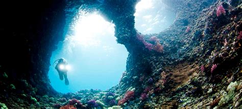 Deep Sea Diving Tutorial 的图像结果