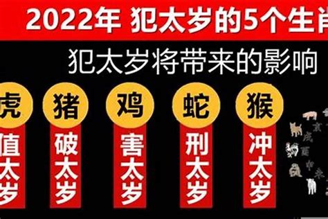 【生肖】苏民峰大师的2021年12生肖运势解析-下集 - NEXT TREND