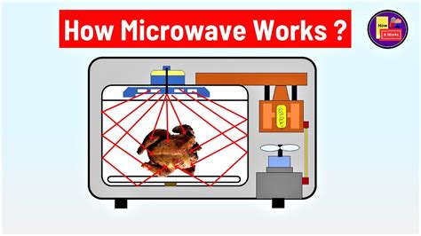 Image result for Tutorials Microwaves