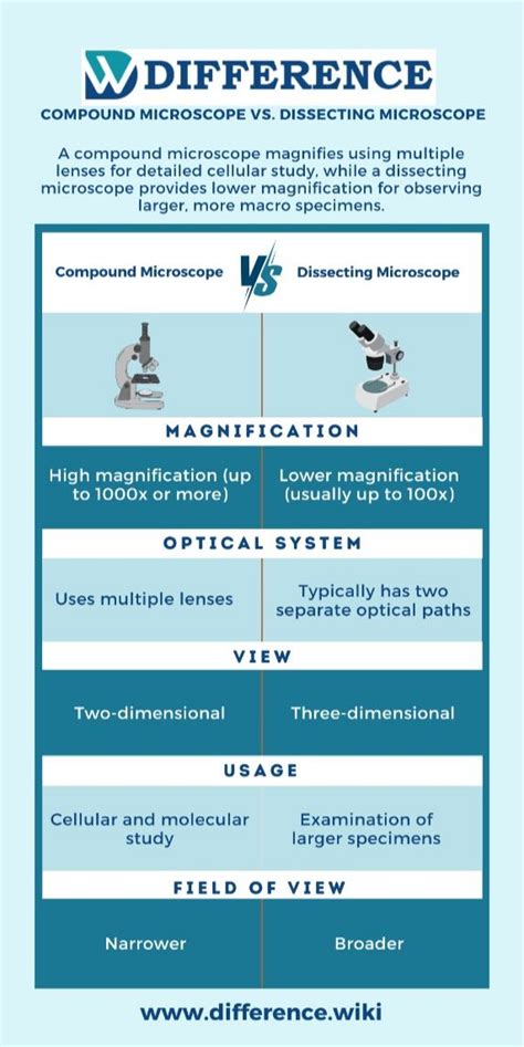 Image result for Compound vs Dissecting Microscope