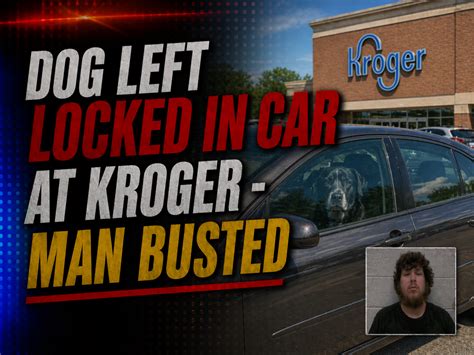 Man Busted After Dog Left Locked in Car at Kroger - Scioto County Daily ...