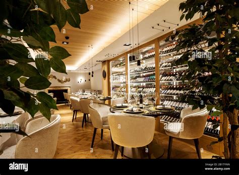 Fancy Restaurant 的图像结果