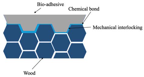 A Novel Technique for Substrate Toughening in Wood Single Lap Joints ...