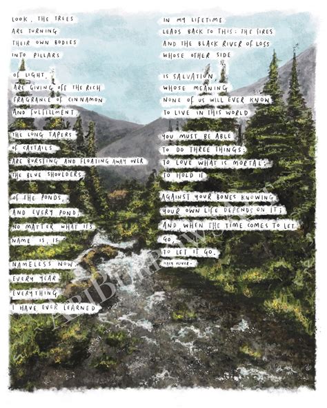 In Blackwater Woods / Let It Go by Mary Oliver Art Print | Etsy