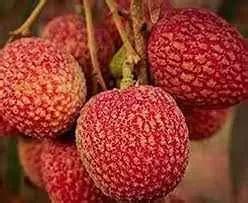 Ali Fruits Store - Top Fruits & Vegetable Shops in Pandu Guwahati