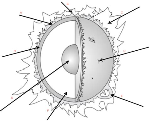 Image result for Solar Structure