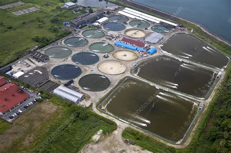 Simple Java Drown Farm 的图像结果