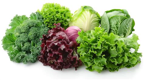 Leafy Vegetables Stock Photos, Images and Backgrounds for Free Download