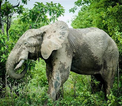 Skyway Safari & Tours Ghana - Accra | Tripadvisor