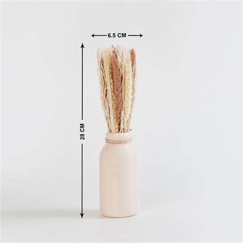 Buy Corsica Eden Dried Millet Grass in Ceramic Pot from Corsica by Home ...