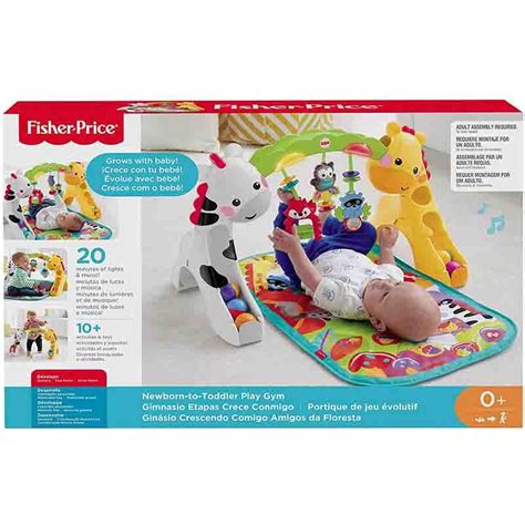 Buy Fisher Price Newborn To Toddler Play Gym, Multicolor Online at Best ...