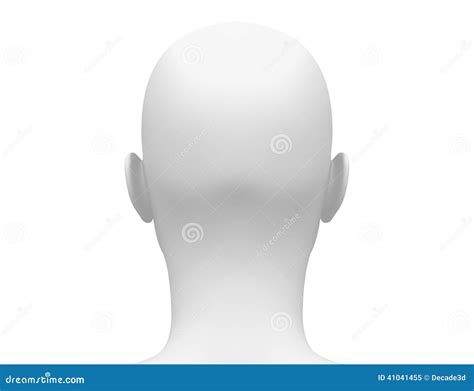 Head Back Of Head at Victor Bartlett blog