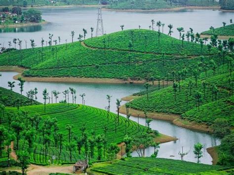Top 6 Beaches In Valparai That Will Leave You Breathless