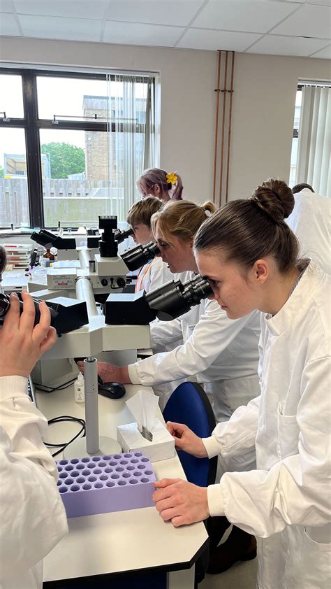 Image result for NHS Biomedical Science Lab