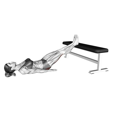 7 Best Glute Bridge Variations (with Pictures!) - Inspire US