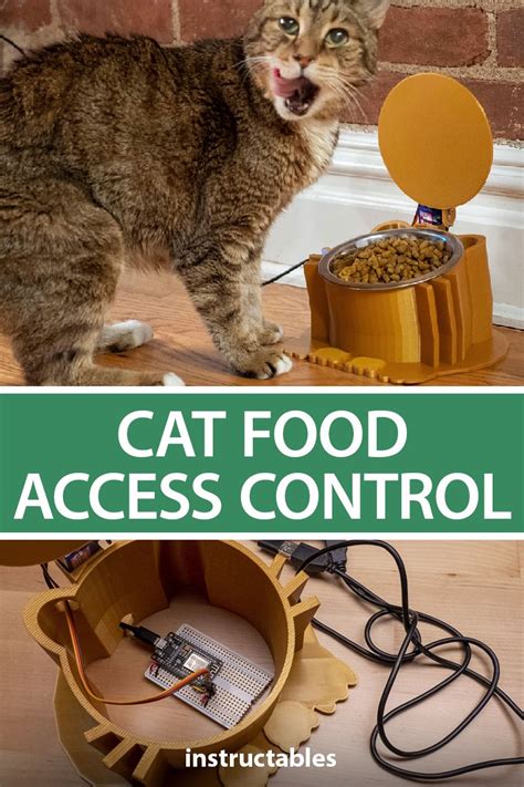 Image result for Cat Robot Arduino