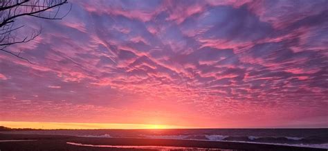 Holistic Wellness & Restorative Practices Workshop Series, Real Food ...