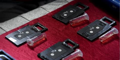 The Wire: The Wire News India, Latest News,News from India, Politics ...