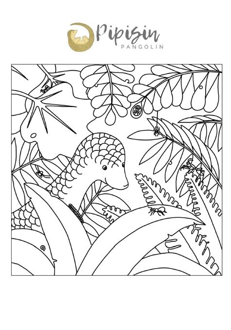 Image result for Pango Coloring Pages