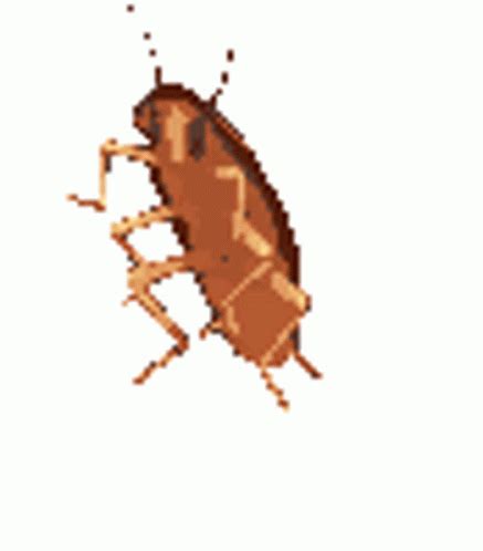 Dancing Cockroach 的图像结果