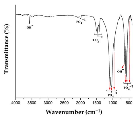 Complete Elimination of the Ciprofloxacin Antibiotic from Water by the ...