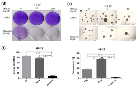 Evaluation of CDK9 Inhibition by Dinaciclib in Combination with ...