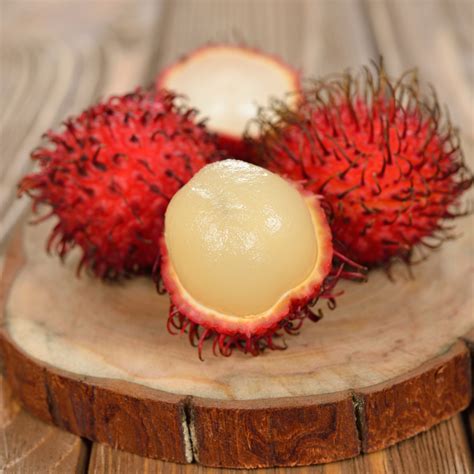 Rambutan - KG10 - Hybrid Fruit Plant – M-Tech Gardens