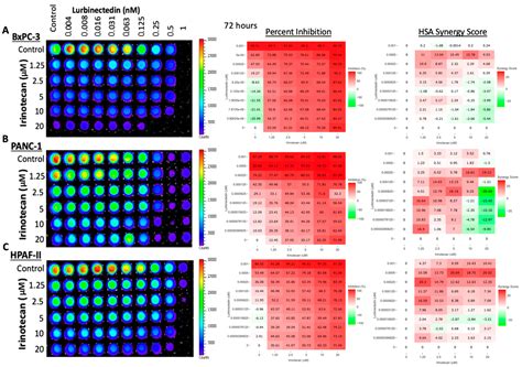 Preclinical Synergistic Combination Therapy of Lurbinectedin with ...
