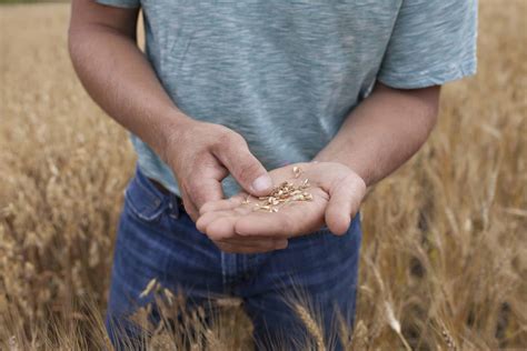 Farmers Kitchen + Bar · Farmer-to-Table Restaurant in Minneapolis, MN
