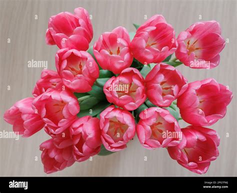 Pink Tulips Inside a Vase Taken from Above Stock Photo - Alamy