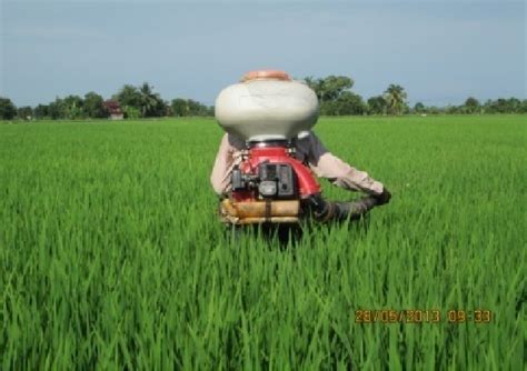 Broadcasting Fertilizer 的图像结果