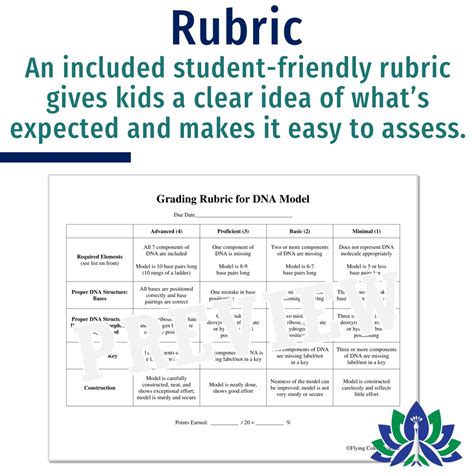 Image result for Science Project DNA Model